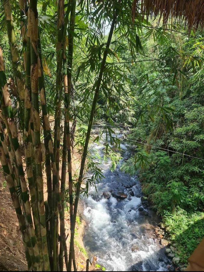 The Osing Bamboo Resort Tamansuruh ภายนอก รูปภาพ